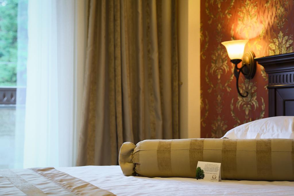 Hotel Foisorul Cu Flori Sinaia Room photo